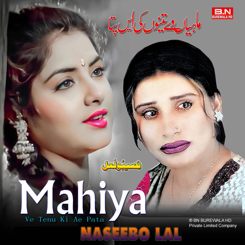 Super Hit Sad Songs Naseebo Lal Totta Dil Dukhi Songs