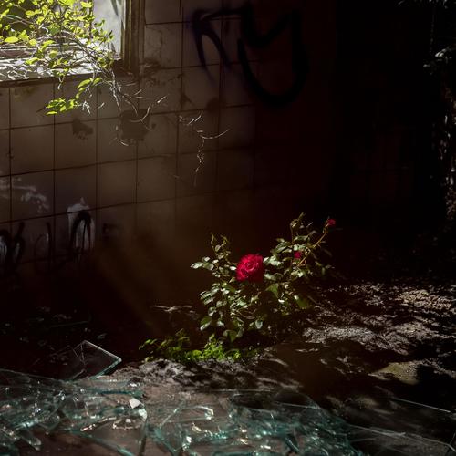 Rastlos (Explicit)