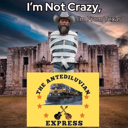 I'm Not Crazy, I'm from Texas