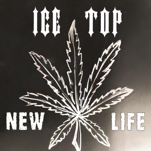 New Life