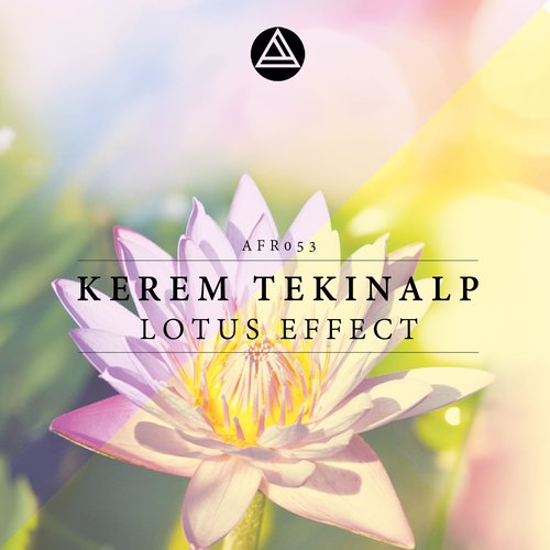 Lotus Effect