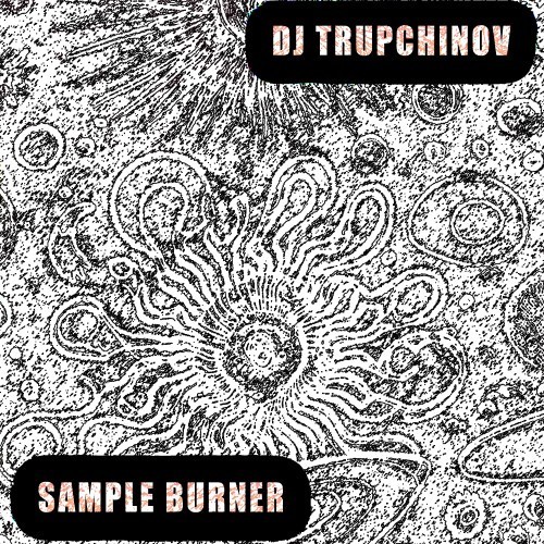 Sample Burner