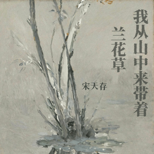 我从山中来带着兰花草