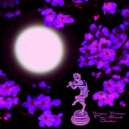 Pan's Secret Garden