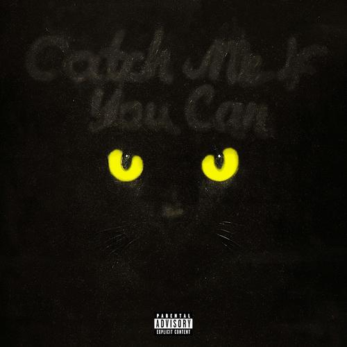 Catch Me If You Can (feat. JeetZingh) [Explicit]