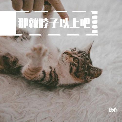 那就脖子以上吧