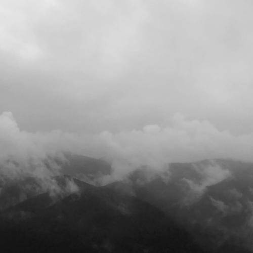 Wonderland (Explicit)