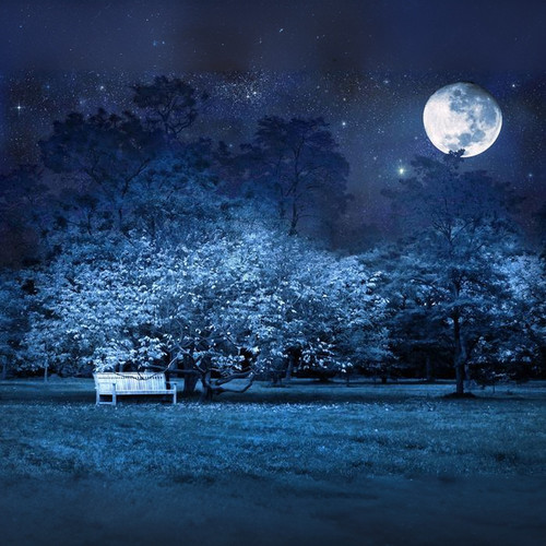 穿越时空的思念