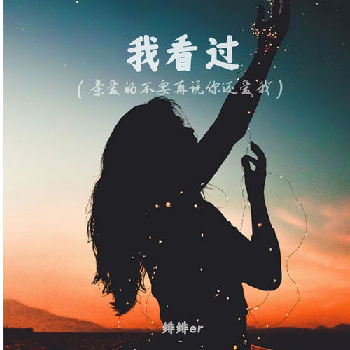 我看过 (亲爱的不要再说你还爱我)