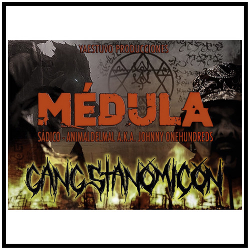 Médula