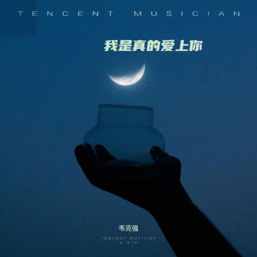我是真的爱上你