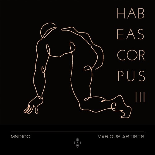 Habeas Corpus 3