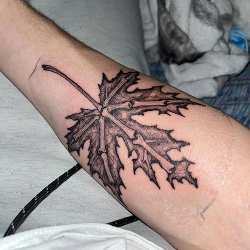 i could pick a style of music (Explicit)