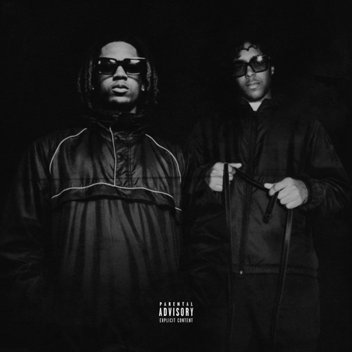 Trooping Pt. 2 (F*ck Rap) [Explicit]