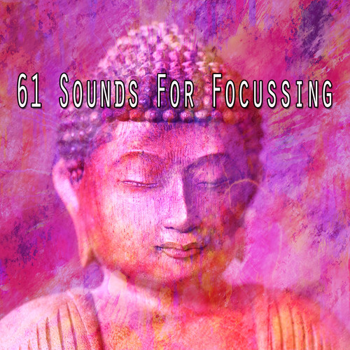 61 Sounds for Focussing