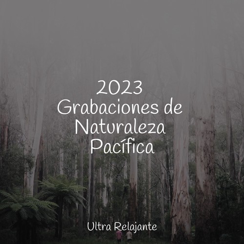 2023 Grabaciones de Naturaleza Pacífica