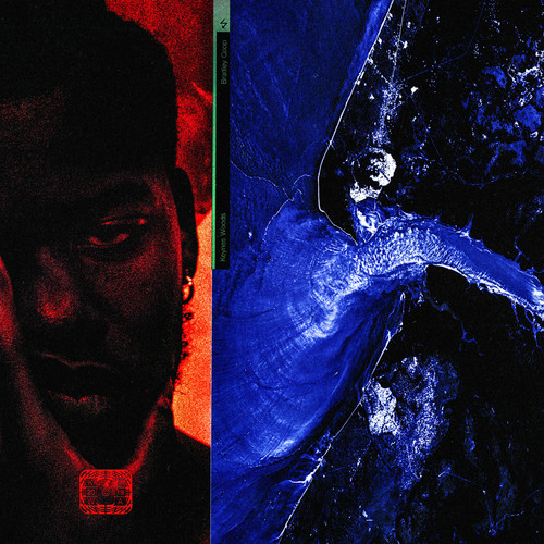 Bradley Coop (Explicit)