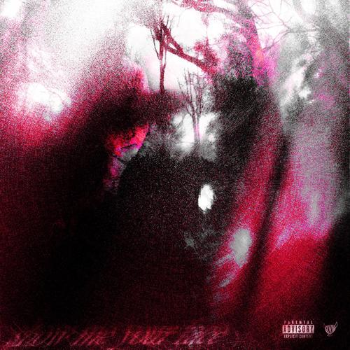 show me your face (Explicit)