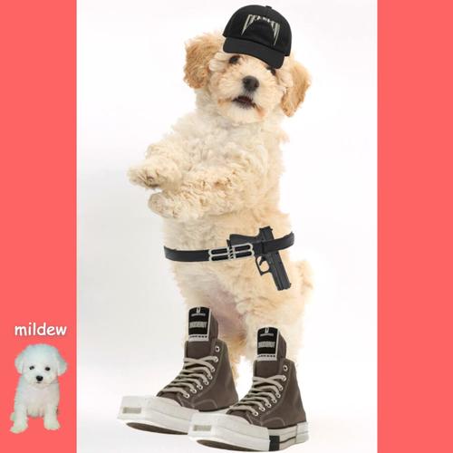 pull up freestyle (Explicit)