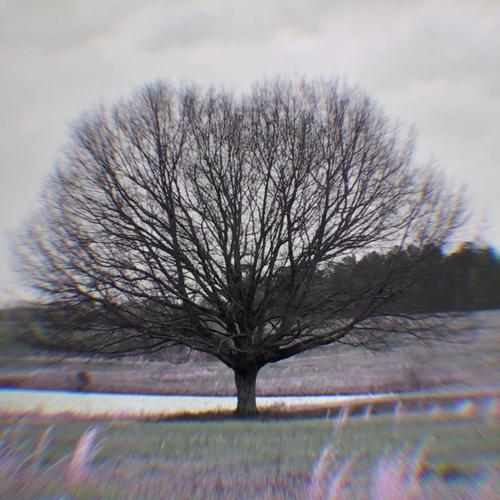 Eden (Explicit)