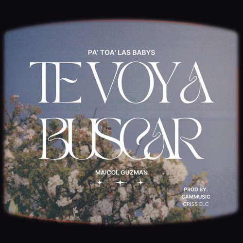 Te Voy a Buscar