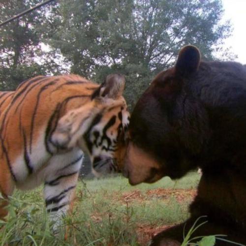 face2face (feat. handweep & lexa903) [Explicit]