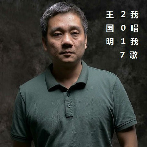 王国明 2017 我唱我歌