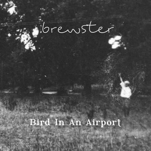 Bird in an Airport