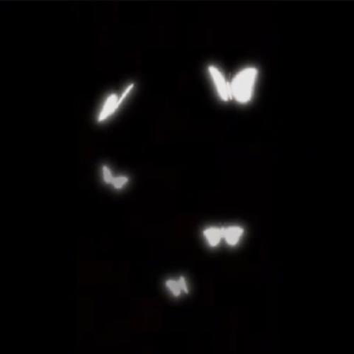 fck freestyle (Explicit)