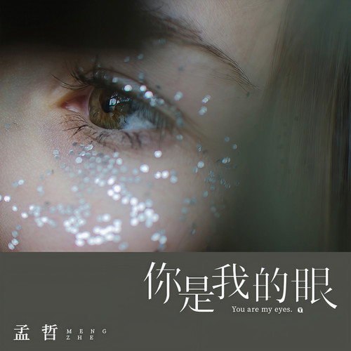 你是我的眼