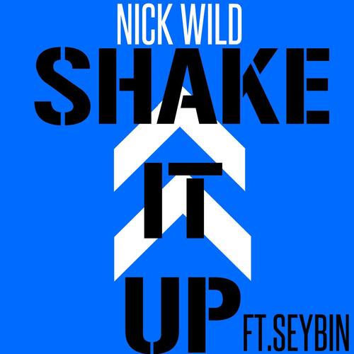Shake It Up (feat. Seybin)
