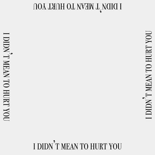 i didn't mean to hurt you (Explicit)