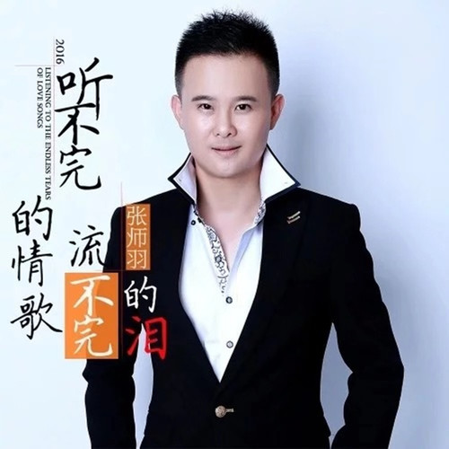 听不完的情歌流不完的泪 (DJ何鹏版)