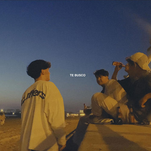 TE BUSCO