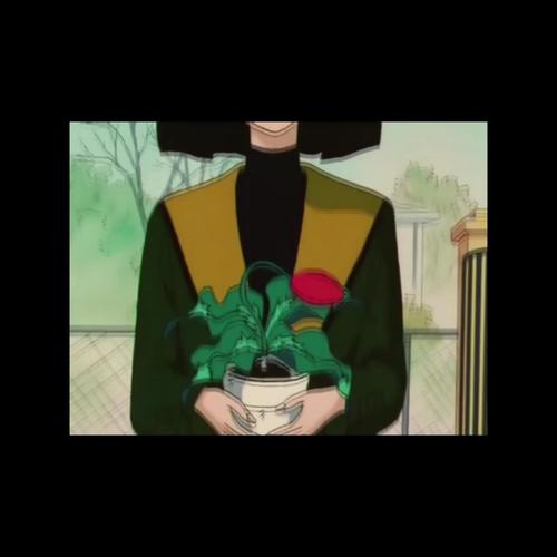 枯萎也许就是沮丧