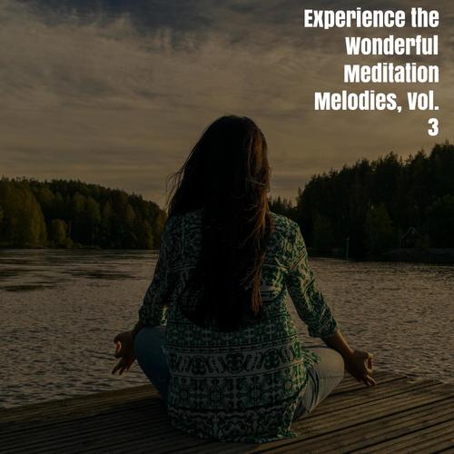 Experience the Wonderful Meditation Melodies, Vol. 3