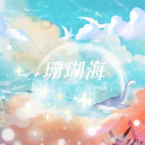海鸟和鱼相爱，只是一场意外