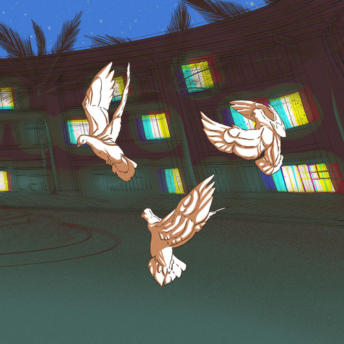 BIRDS
