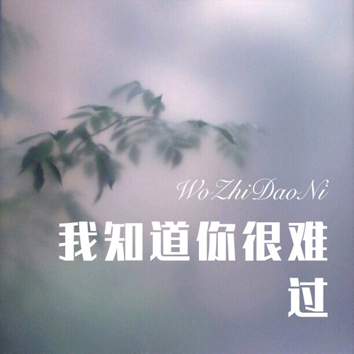 我知道你很难过