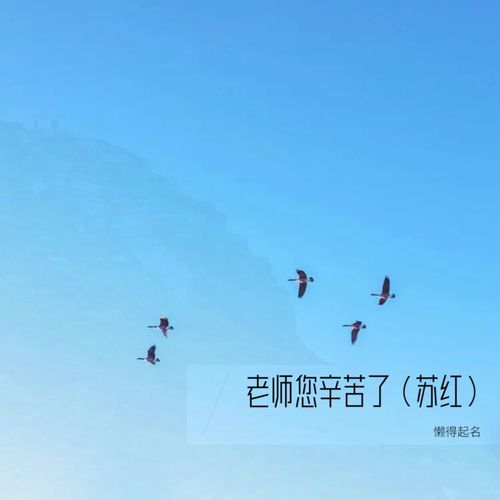 老师您辛苦了（苏红）
