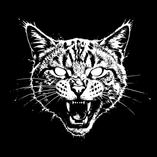 Miau (Montagem Phonk)