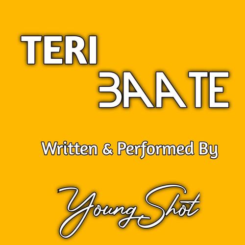 TERI BAATE