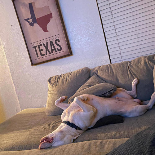 Attention (Explicit)