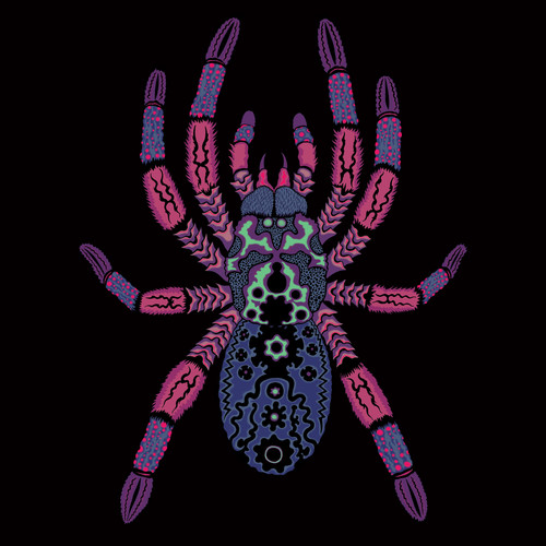 Kangaroo Ground / Ferntree Gully