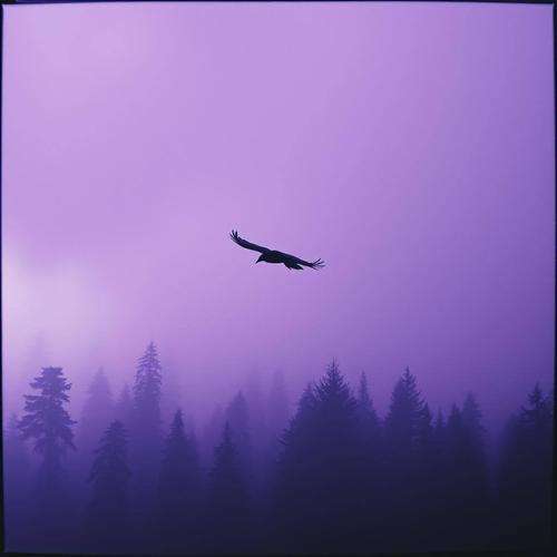 Raven Girl (Remix)