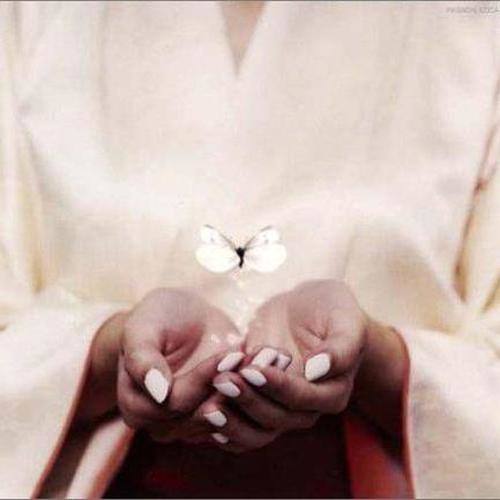 幻影の貌/沙羅双樹の子護唄