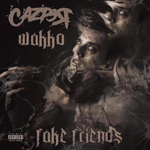 Fake friends (feat. Wakko)