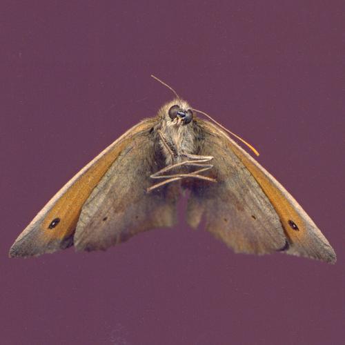 Dernier jour des vacances, devoirs pas encore faits