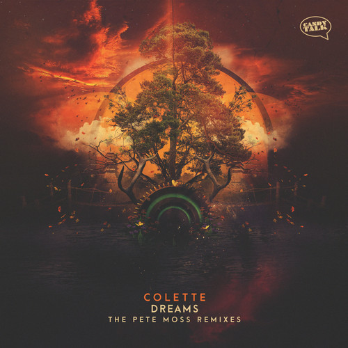 Dreams - the Pete Moss Remixes