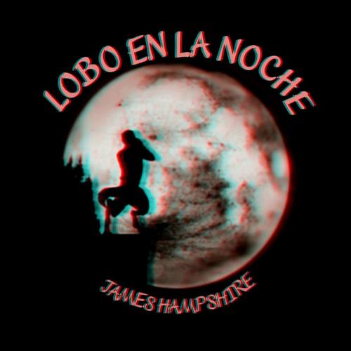 Lobo en la Noche